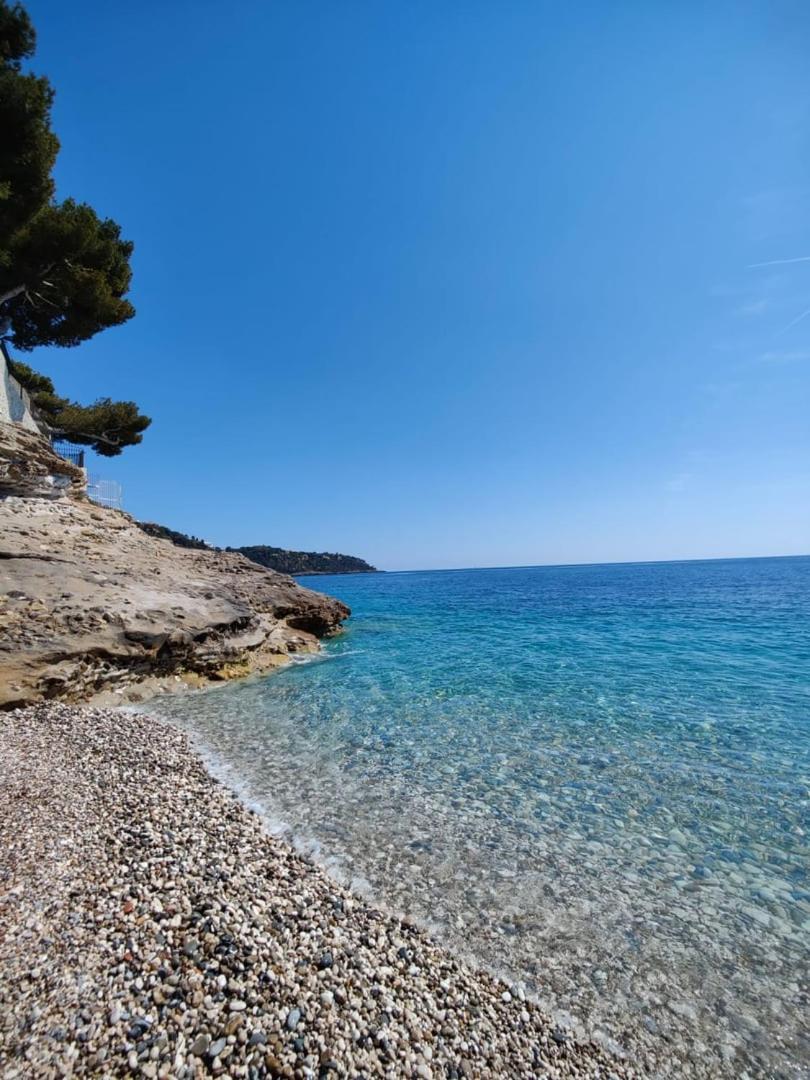 Le Coq Massolin Roquebrune-Cap-Martin Eksteriør billede