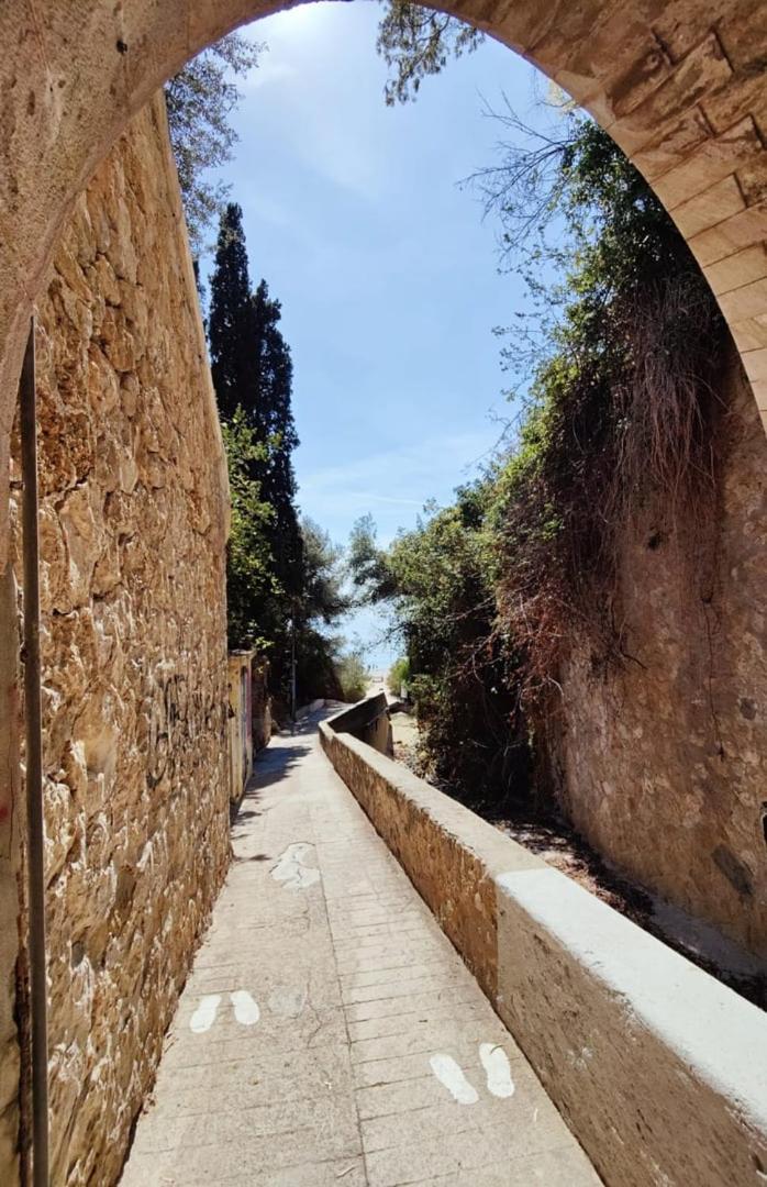 Le Coq Massolin Roquebrune-Cap-Martin Eksteriør billede