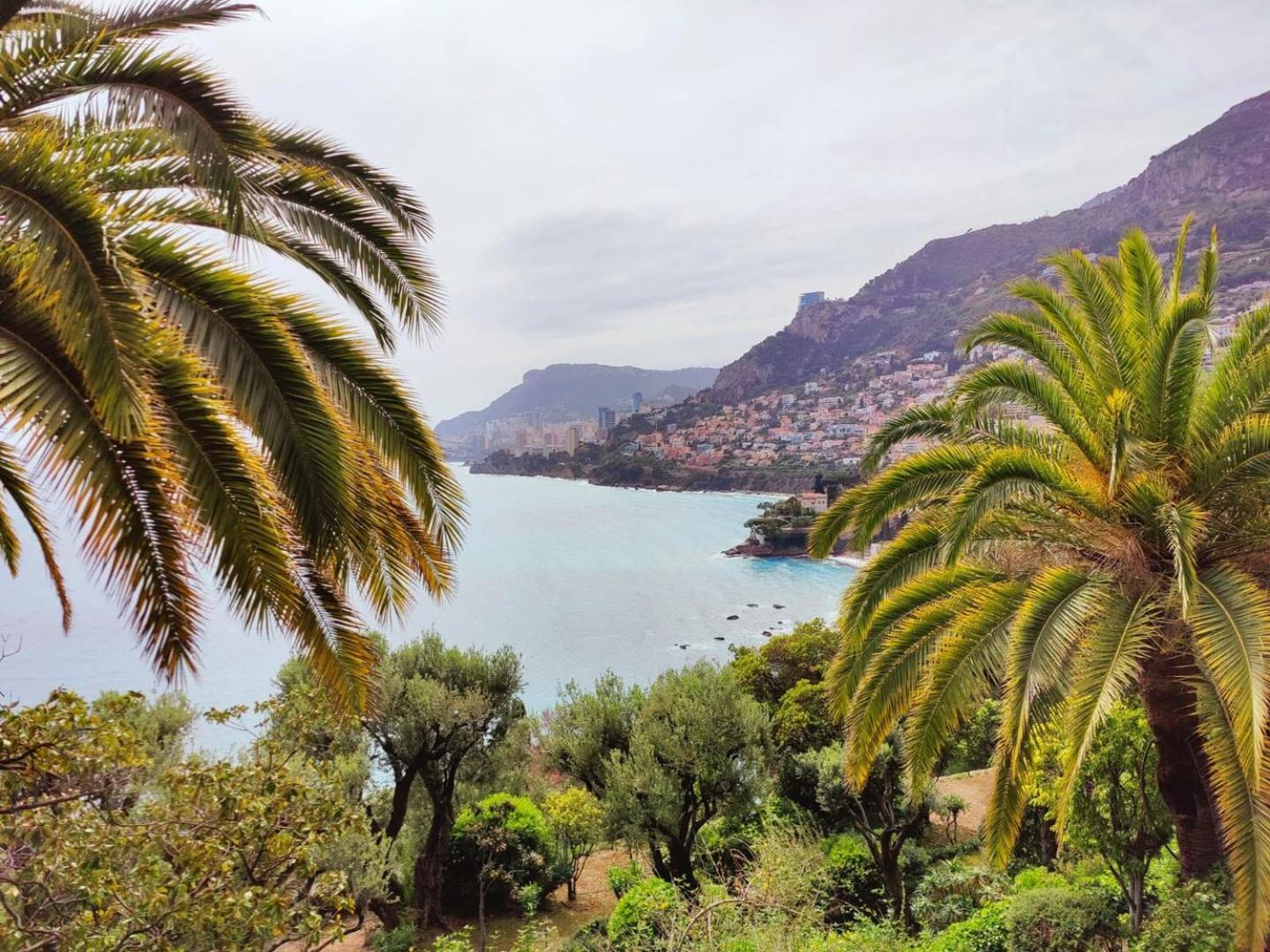 Le Coq Massolin Roquebrune-Cap-Martin Eksteriør billede